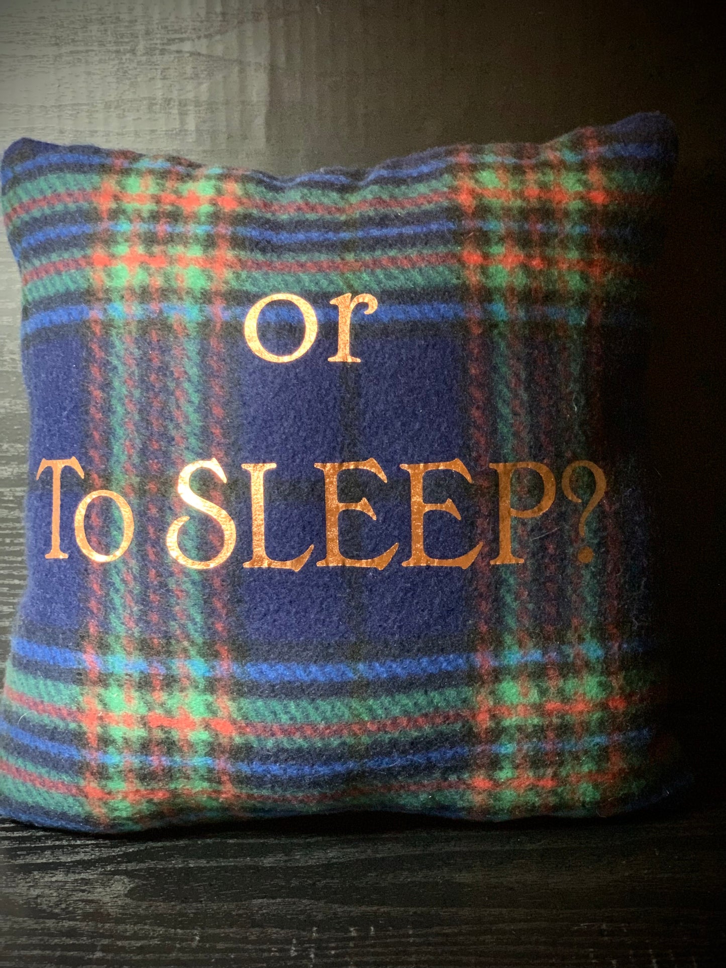 Clearance Time Traveler Pillows
